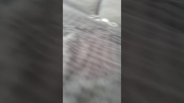 Дтещтп3лщауо8машрещтршлгег