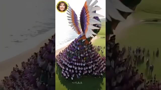 VID-20250511-WA0012.mp4