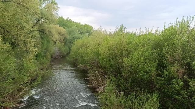 Стерлитамак в переводе  горло( устье) реки Стерли. Парк " Стерля" весенний.