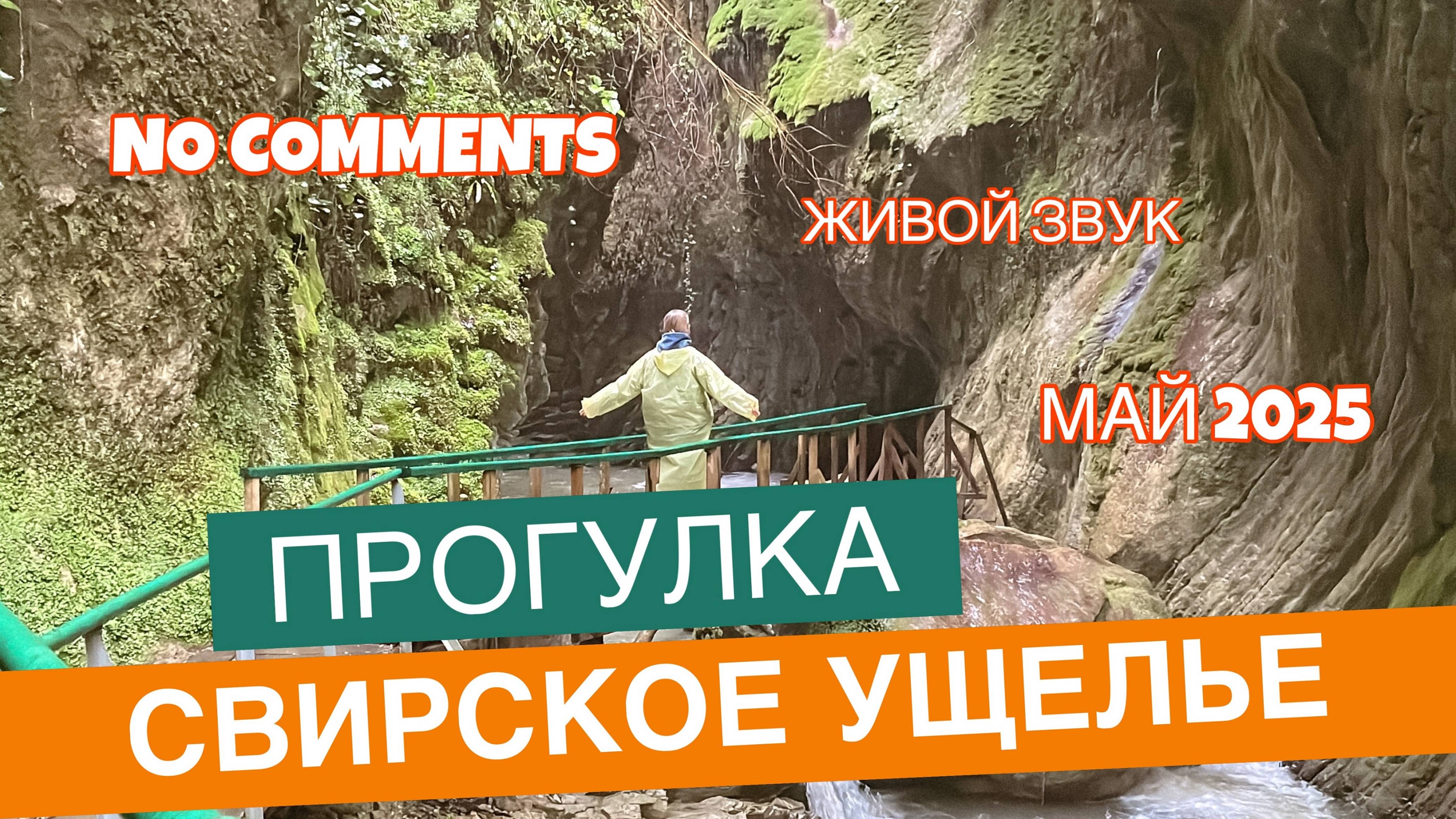 Прогулка Свирское ущелье. Лазаревское. Сочинский Национальный парк. Живой звук. Без комментариев.