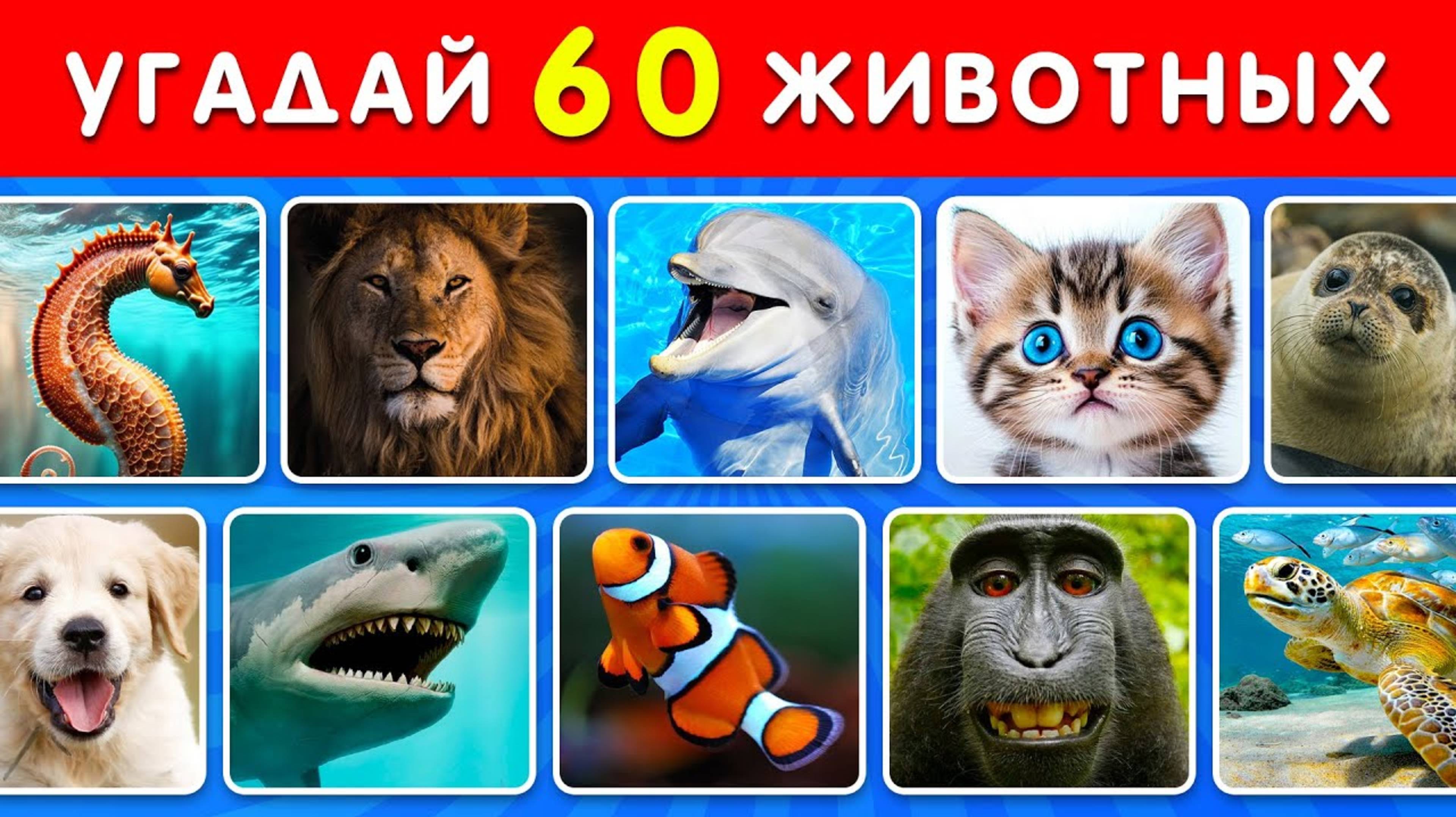ℹ️ УГАДАЙ 60 ЖИВОТНЫХ ЗА 4 СЕКУНДЫ🐬🦑 | Легко, Средне, Сложно, Невозможно