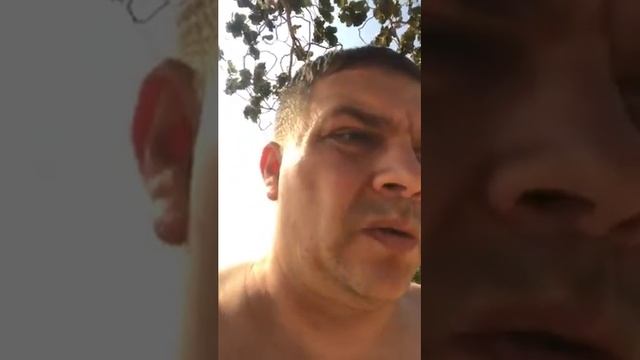 Форекс отзывы реальных людей. Основные ошибки всех Тр?