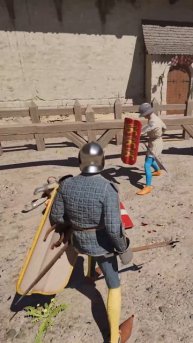 forced out of the arena #halfsword #history #medieval