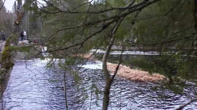 Прогулка по лесам и водопадам Карелии