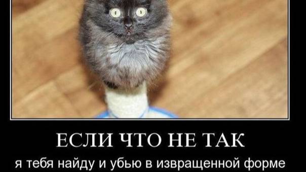 Я вас всех запомнил