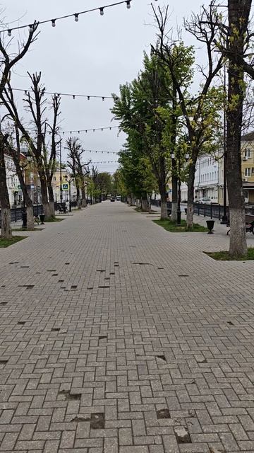 г.Тверь 11.05.25 ⏰7:15АМ, +3° День без диет!