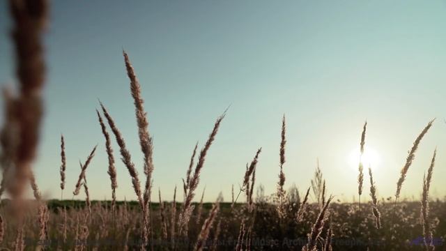 Включите этот трек - и пусть тело движется в ритме любви! - Crashing Mopeds -- Ryan Andersen -- MORE