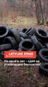 Не неси в лес - сдай на утилизацию бесплатно!