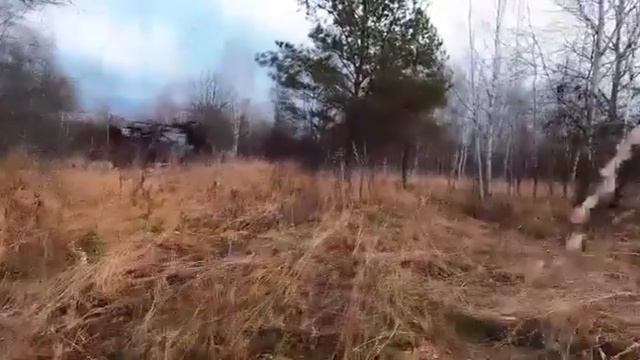 Скорей напиться и уснуть