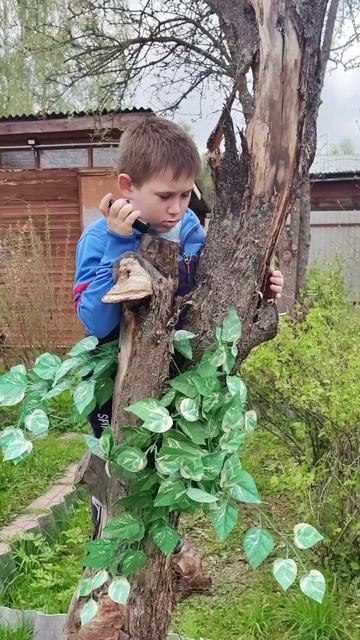 Что делать если напал медведь?