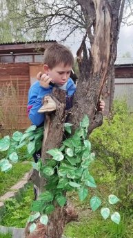 Что делать если напал медведь?