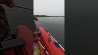 Рыбалка на Камчатке. Рыба Сима. Река Большая, месяц июнь начало. Ловлю на обычные китайские блесна.