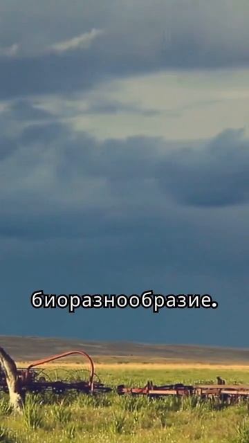 Казахстан занимает девятое место по площади в мире