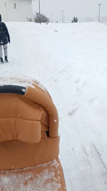 Великий Новгород в зимней сказке 🧡🧡🧡#вн #прогулки #?