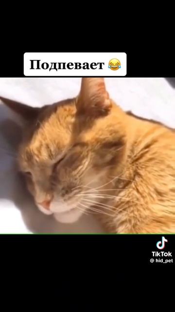 1000090402.mp4