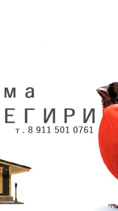Дома СНЕГИРИ (Отделка)
