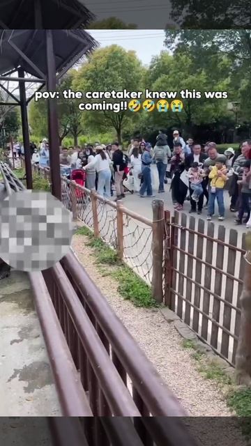 Бегемот Цзюмэй устроил газовую атаку на туристов в зоопарке Китая — выдал 15-секундный залп