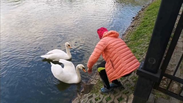 Сергиев Посад 2025