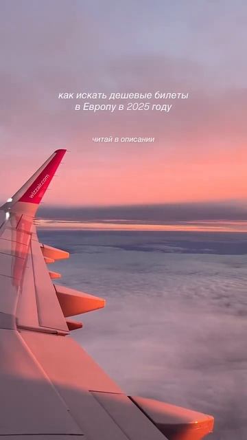 🎉 Путешествуй с умом! ✈️