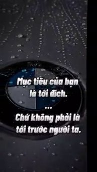 Мир домашних питомцев – Серия 468: Забавные и милые моменты