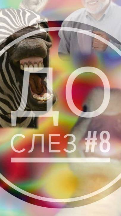Подборка смешных роликов про животных #8. Ржу не могу!