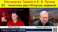 ✅ ПЕРСПЕКТИВА | М. ДЕЛЯГИН: Мы не готовы слушать ИДИОТОВ...| 11-05-25