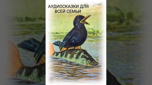 РАЧЬЯ СВАДЬБА