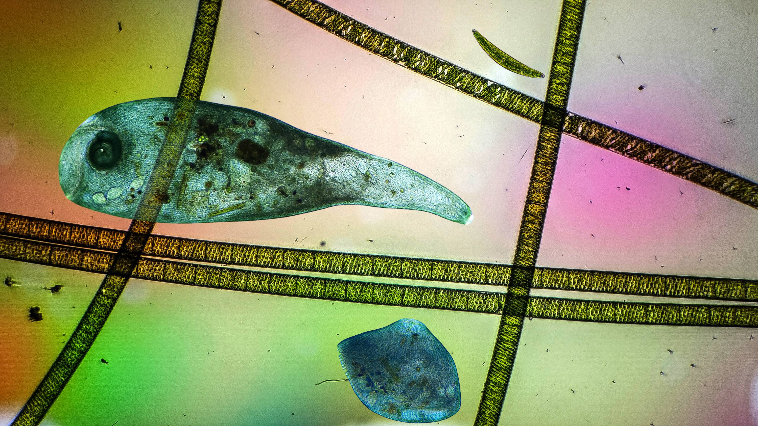 ТАЙНЫ НЕВИДИМОГО МИРА часть-12