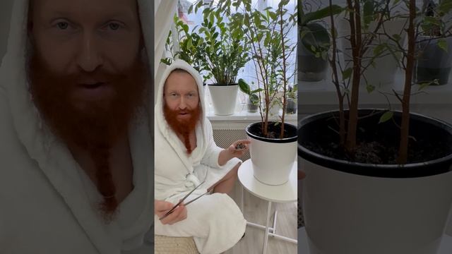 Редкий вид грибов