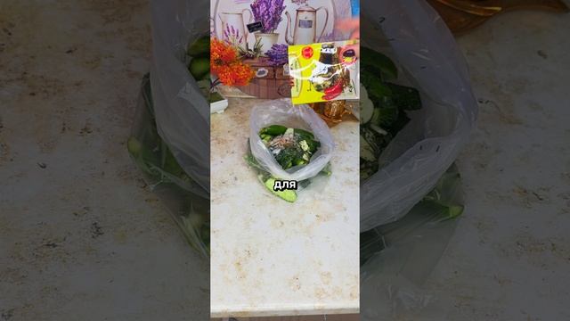 Пикантные малосольные огурцы сухим послом в пакете