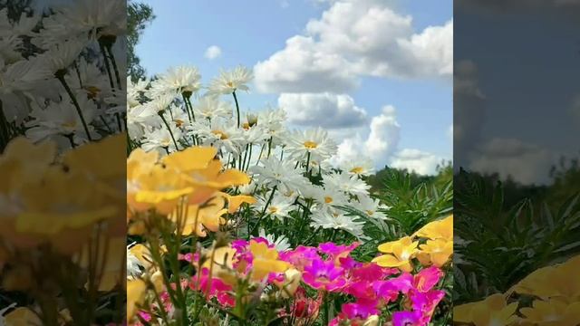 VID_20250511_103321_777.mp4