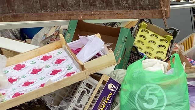 Оренбург Гагарина 33 мусорка кишит крысами