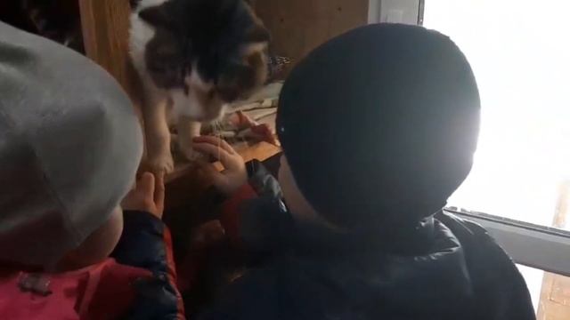 Социальная акция Большая помощь маленькому другу