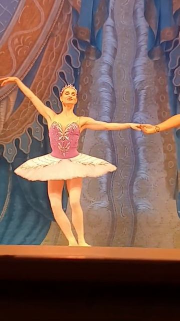 Ballet in The Mariinsky Theatre • Балет на сцене Мариинского театра