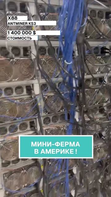 Мини-ферма в Америке! #майнинг #крипта #биткоин #каспа #?
