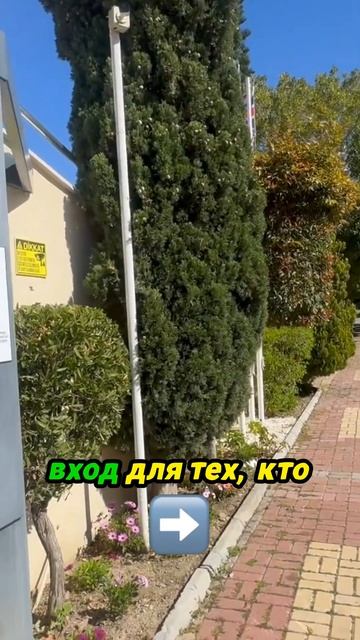 Пять звезд за реальные впечатления? 🤔 Обзор отеля 5* #с