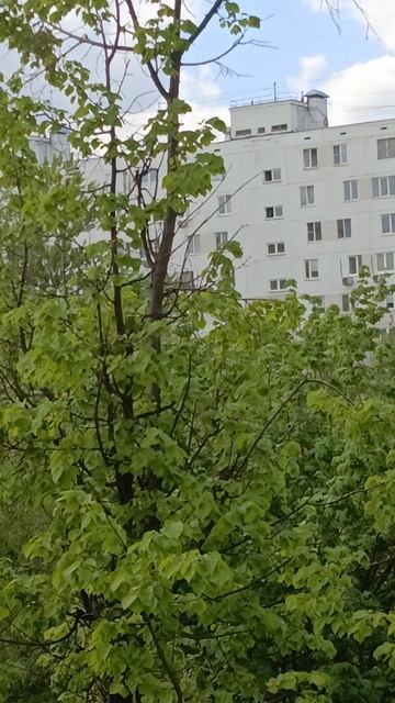 9 мая день победы