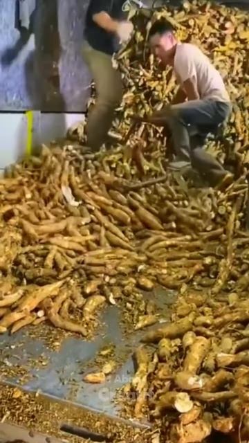 cassava unloading process #machinetools #wood #satisfying #welding #smalltools #shortvideo