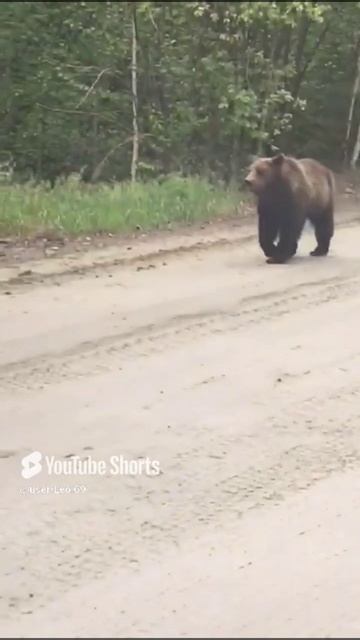 из путешествия вокруг Байкала