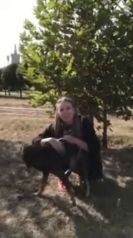Субботняя акция погуляй собачкой