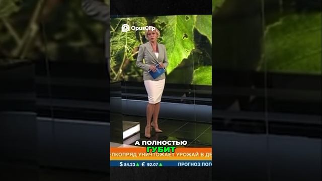 Непарный шелкопряд 2023: нашествие в Подмосковье!