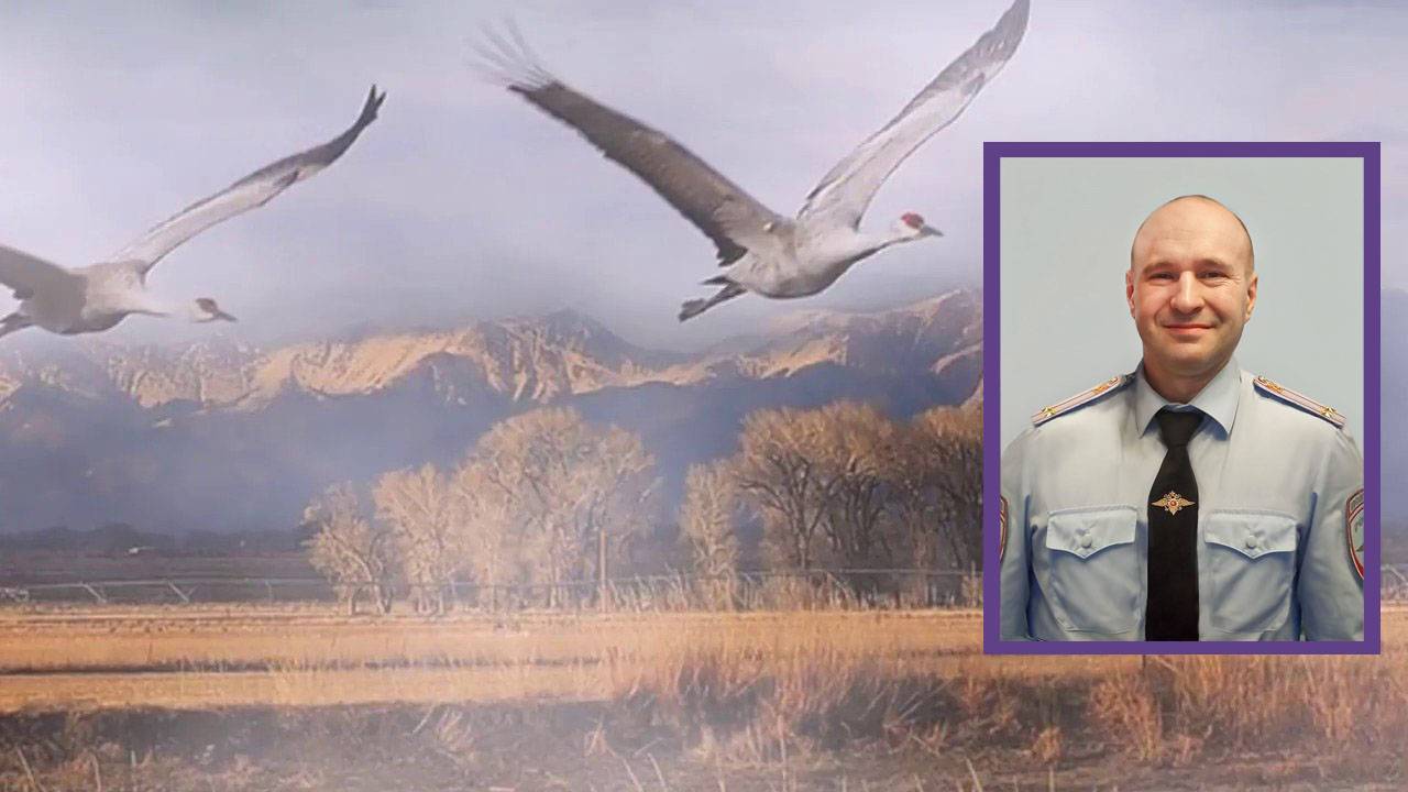 памяти Вити Больных 2025