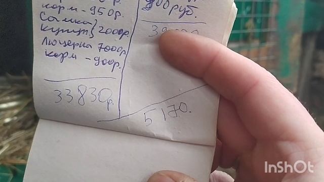 Итоги содержания кроликов фландр 2024года | Затраты | Пр?