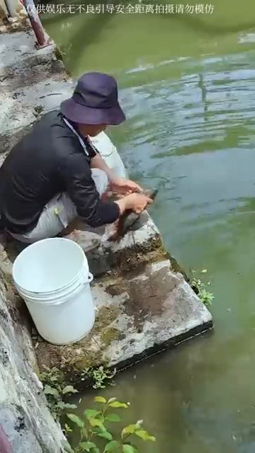 Câu cá, câu đài hồ bán tự nhiên, nấu ăn tại chỗ bao phê🎣#fish #fishing #shorts