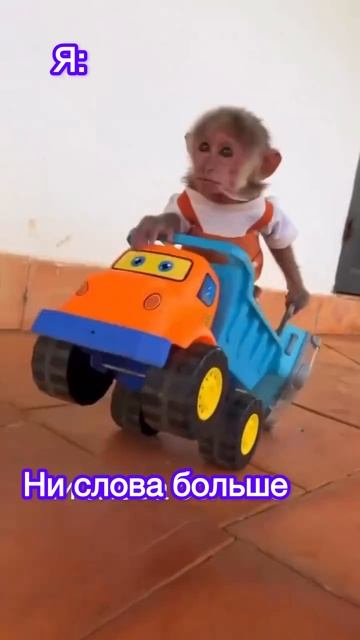 Когда он позвал в долгожданный отпуск #юмор