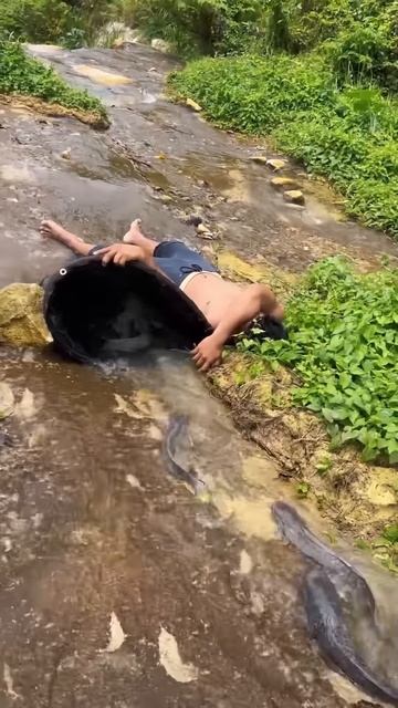 Catching fish while sleeping #shorts