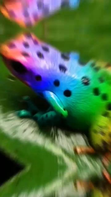 1000006572.mp4