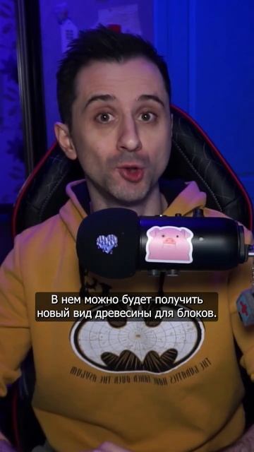 Новый биом в Minecraft