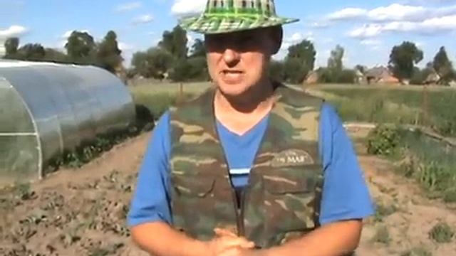 Боремся с Вьюнком Полевым. Интересный способ