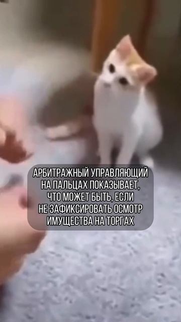 Инвестиции на торгах #мамонова ##государство #инвестиц